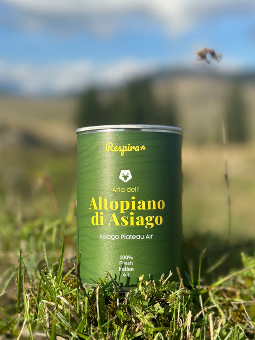 ARIA DELL'ALTOPIANO DI ASIAGO