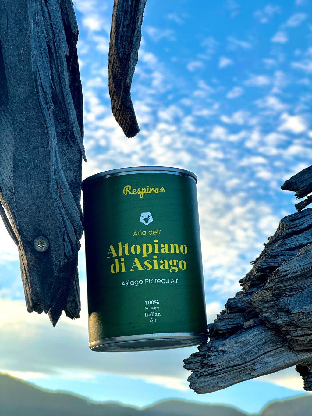 ARIA DELL'ALTOPIANO DI ASIAGO