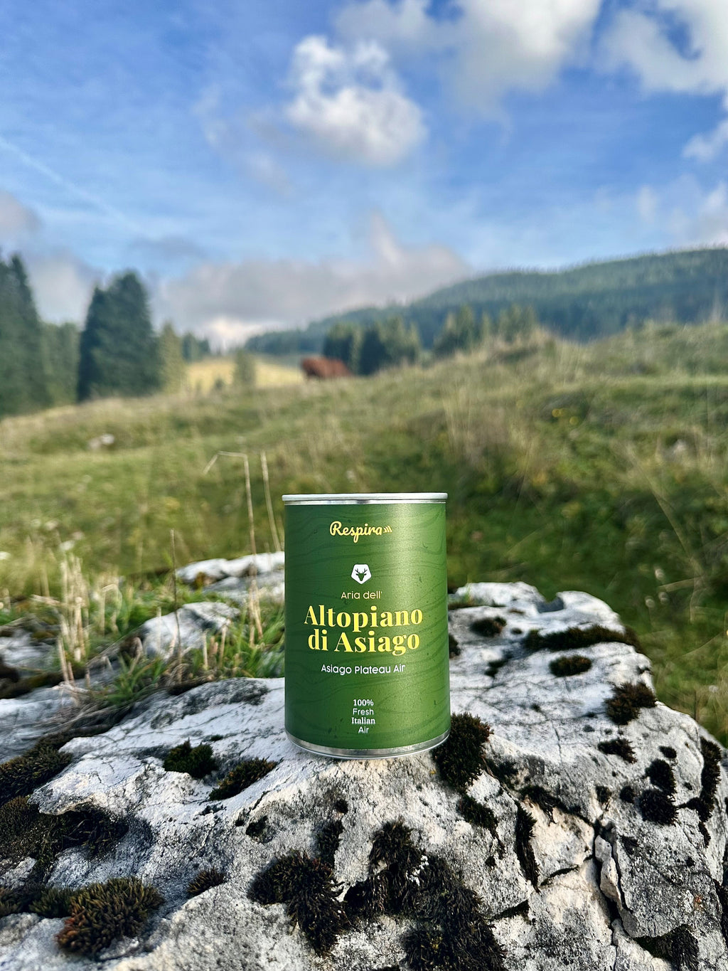 ARIA DELL'ALTOPIANO DI ASIAGO