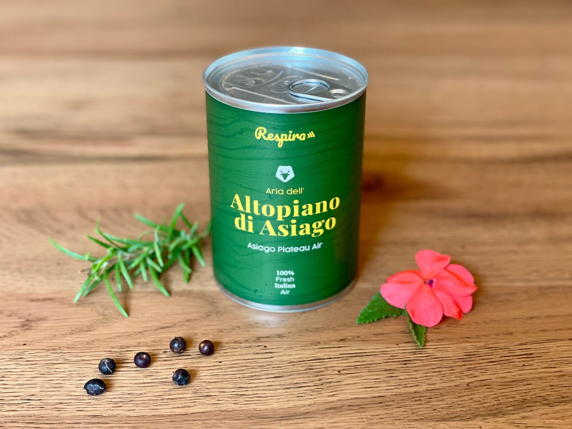 ARIA DELL'ALTOPIANO DI ASIAGO