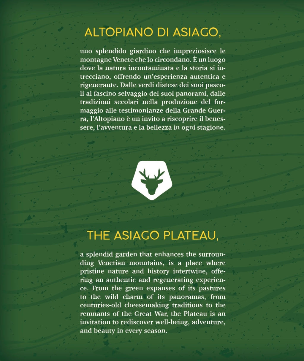 ARIA DELL'ALTOPIANO DI ASIAGO