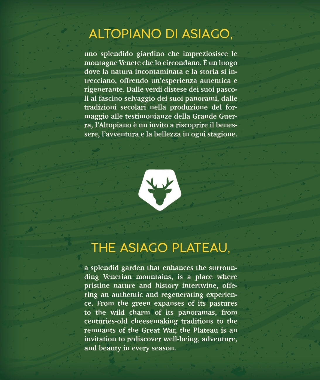 ARIA DELL'ALTOPIANO DI ASIAGO