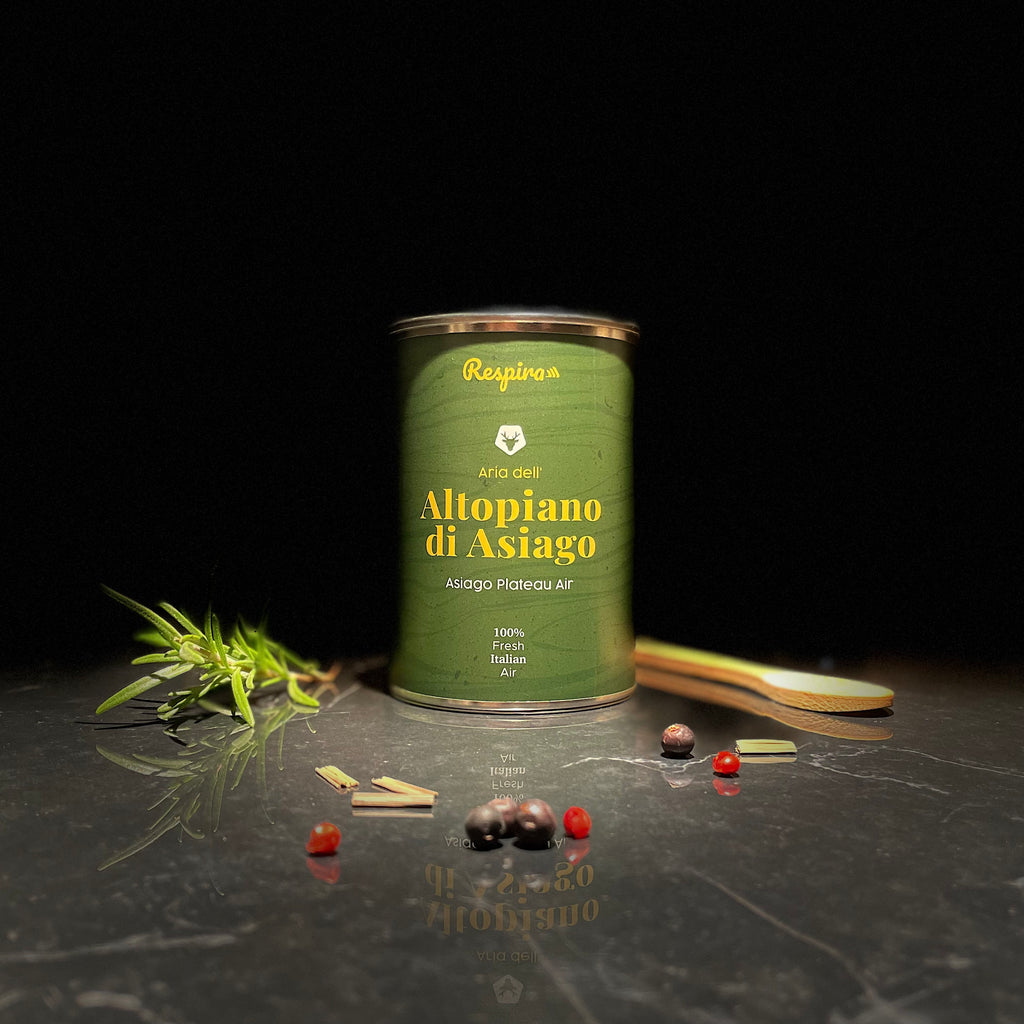 ARIA DELL'ALTOPIANO DI ASIAGO