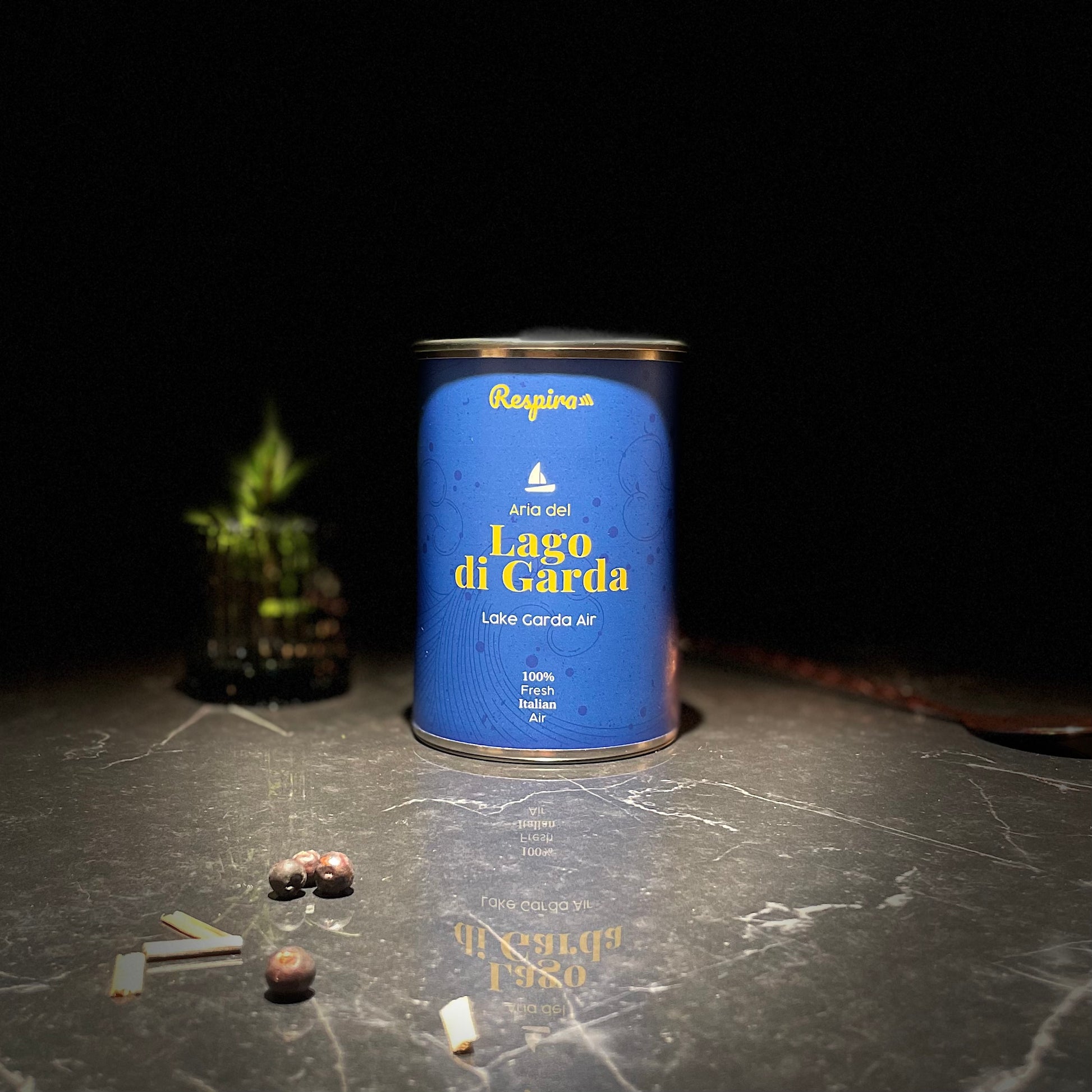 ARIA DEL LAGO DI GARDA